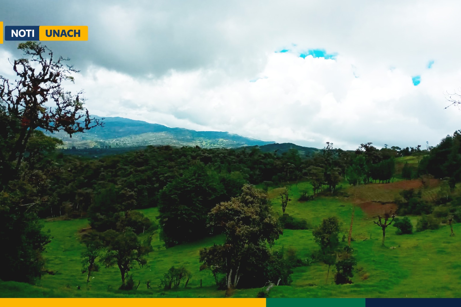 ESTUDIO REVELA QUE EL BOSQUE LA PALMA ES OPTIMO PARA EL CRECIMIENTO Y DESARROLLO DE LA CINCHONA PUBESCENS VAHL.